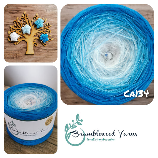 CA134 WHITE/ FIREFLY BLUE/ CAPRI/ SEA BLUE